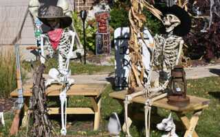 Ghoulish Homes Tour Skeletons