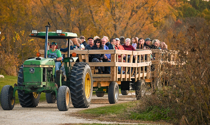 Autumn Hayrides