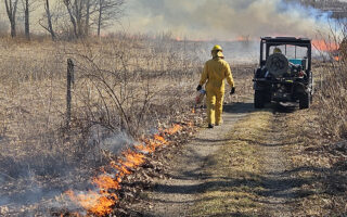 Prescribed Burn