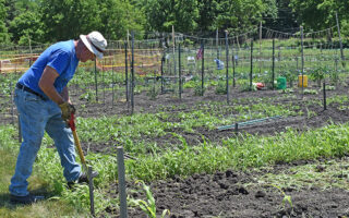 Gardening