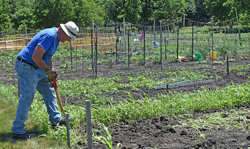 Gardening